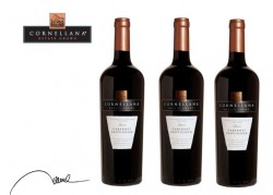 Rượu Cornellana Cabernet Sauvignon Reserva 14% 75cl