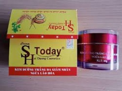 Bộ kem dưỡng trắng da ngày & đêm VIP SH today 2*40g